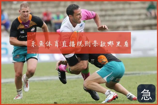 乐鱼体育直播规则条款哪里看