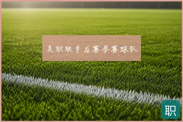 美职联季后赛参赛球队